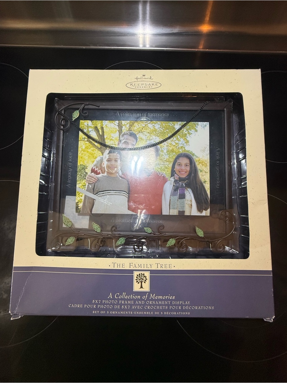 Vintage 2004 Hallmark Keepsake 'The Family Tree' 5x7 Photo Frame & Ornament Set